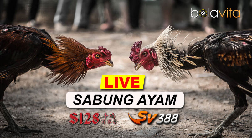 Name:  r2txMjy.jpg
Views: 33
Size:  97.0 KB