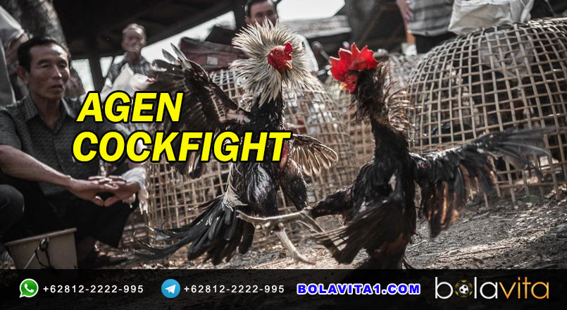 Name:  6DbDMbK.jpg
Views: 33
Size:  114.2 KB