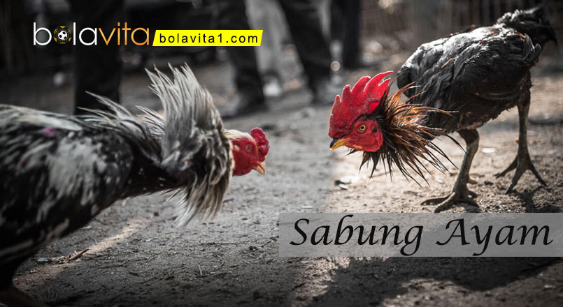 Name:  hpo4oI9.jpg
Views: 33
Size:  87.2 KB