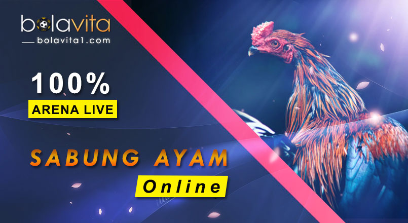 Name:  kdztdWY.jpg
Views: 35
Size:  76.8 KB