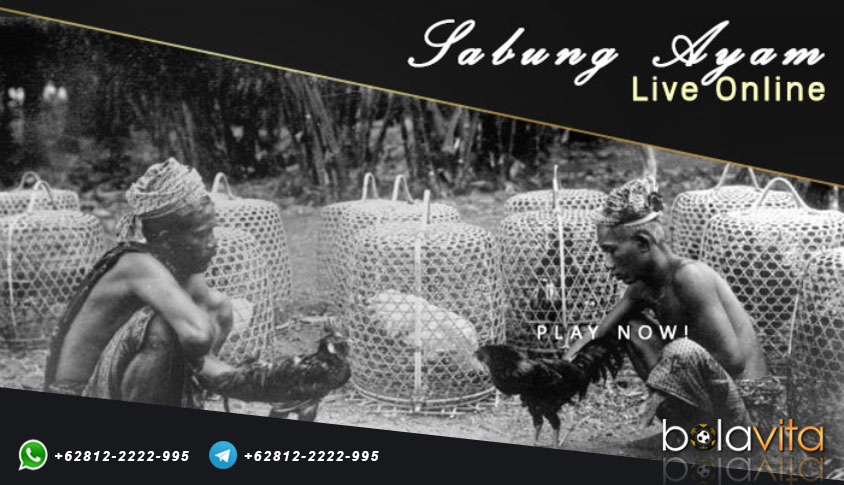 Name:  BEty9zg.jpg
Views: 73
Size:  89.5 KB