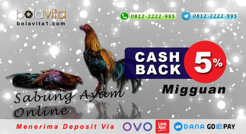 Name:  qEhSvUD.jpg
Views: 67
Size:  78.6 KB