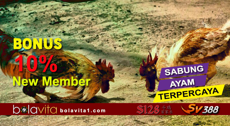 Name:  4UmkRiP.jpg
Views: 66
Size:  131.0 KB