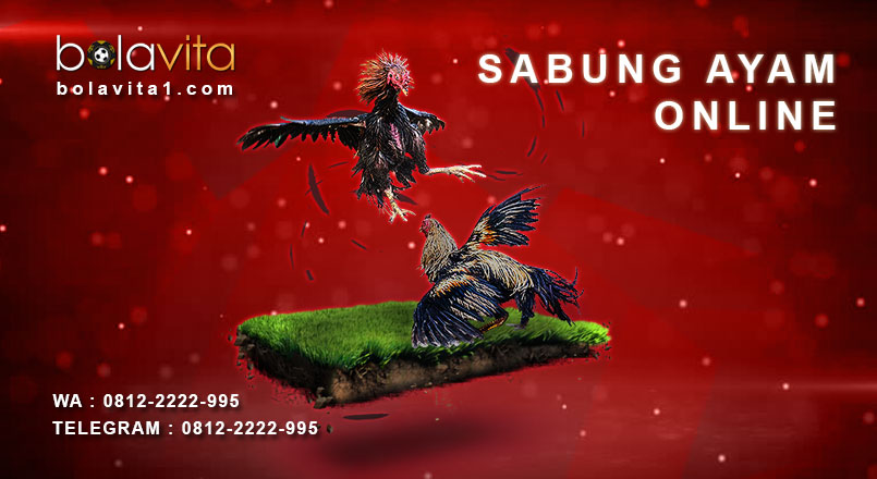 Name:  GyFoCBL.jpg
Views: 70
Size:  67.8 KB