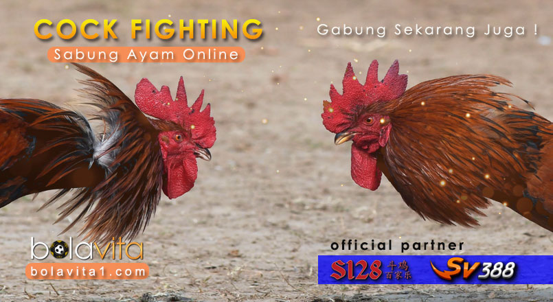 Name:  jxHayae.jpg
Views: 61
Size:  98.5 KB