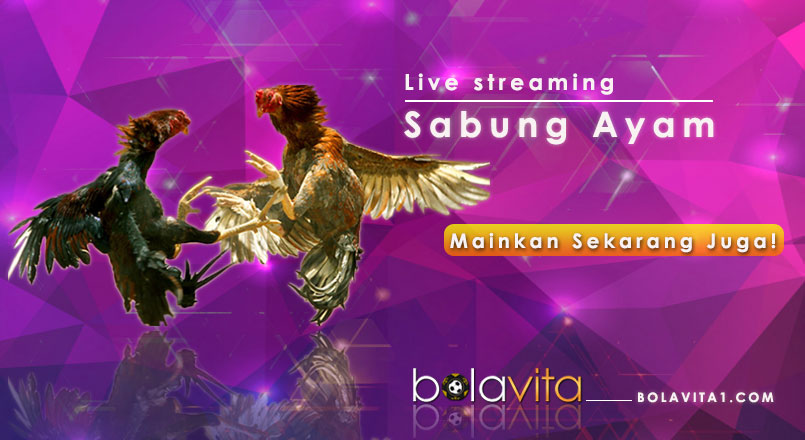 Name:  BxY8wEz.jpg
Views: 61
Size:  76.1 KB