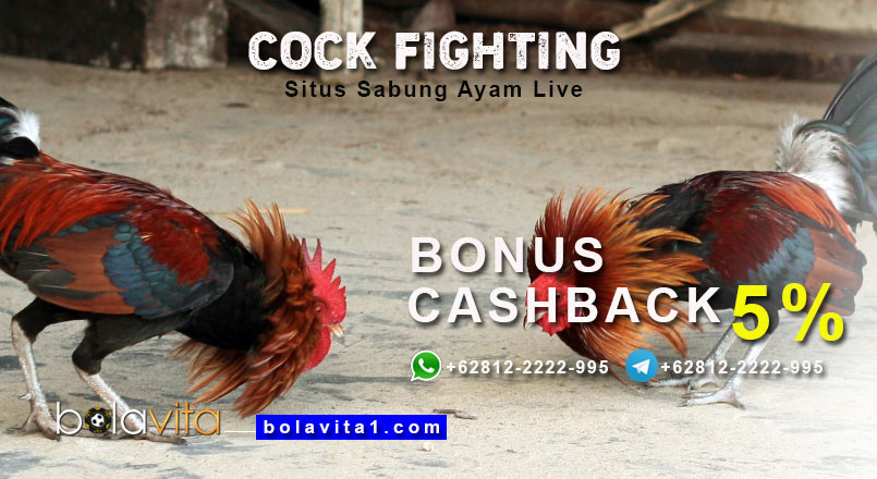 Name:  wayPuJL.jpg
Views: 59
Size:  96.4 KB