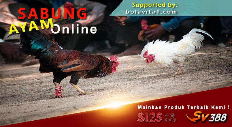 Name:  Hq87ktV.jpg
Views: 8
Size:  89.3 KB