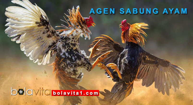 Name:  3wXpdg1.jpg
Views: 10
Size:  99.8 KB