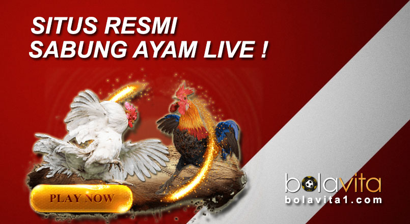 Name:  ngwWIKo.jpg
Views: 11
Size:  81.0 KB