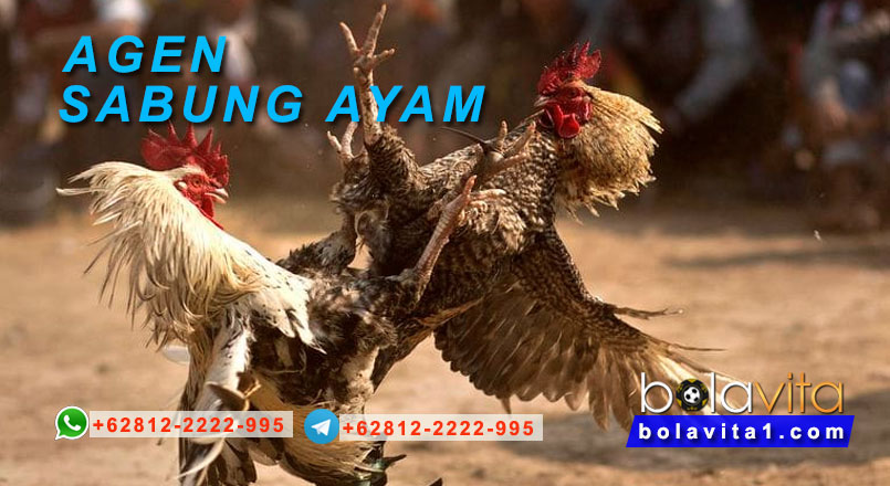 Name:  CP6a7xp.jpg
Views: 10
Size:  94.2 KB