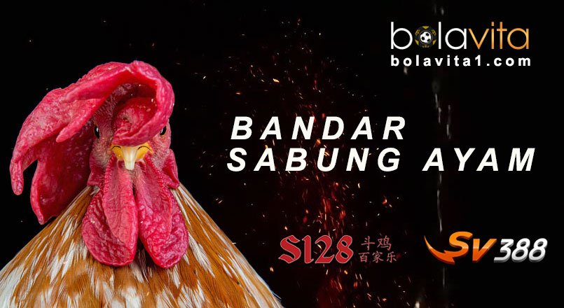 Name:  UN87CGR.jpg
Views: 8
Size:  80.7 KB