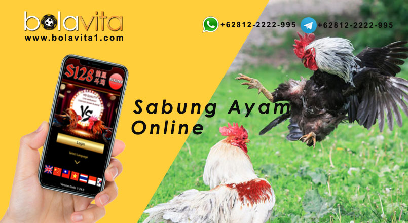 Name:  Dof66yE.jpg
Views: 11
Size:  92.1 KB