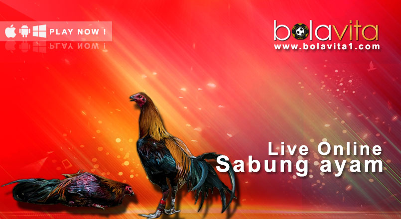 Name:  riC0JQi.jpg
Views: 7
Size:  73.8 KB