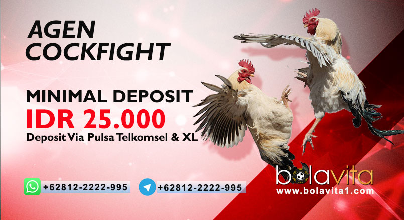 Name:  lf0sZMP.jpg
Views: 7
Size:  87.4 KB