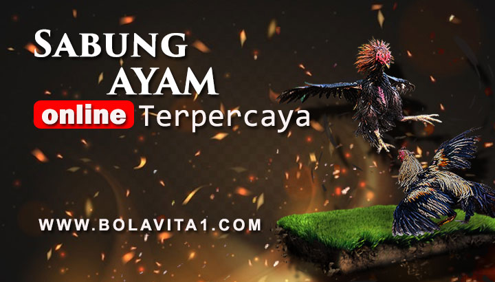 Name:  XLElleQ.jpg
Views: 7
Size:  66.5 KB