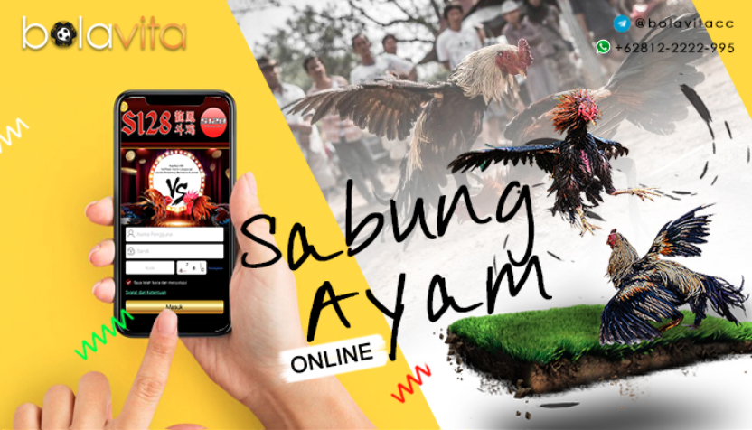 Name:  DDNb1pY.png
Views: 7
Size:  778.1 KB