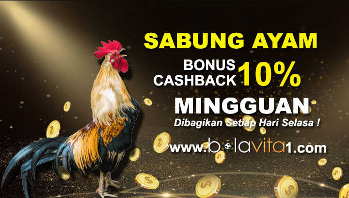 Name:  XKcGT8y.jpg
Views: 14
Size:  86.0 KB