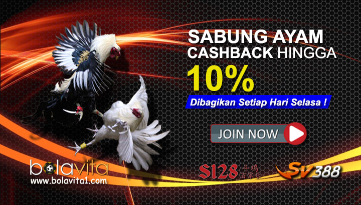 Name:  rEDSAsJ.jpg
Views: 14
Size:  116.1 KB