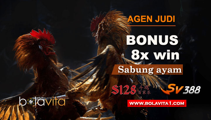 Name:  dg1Sj8K.jpg
Views: 15
Size:  70.2 KB