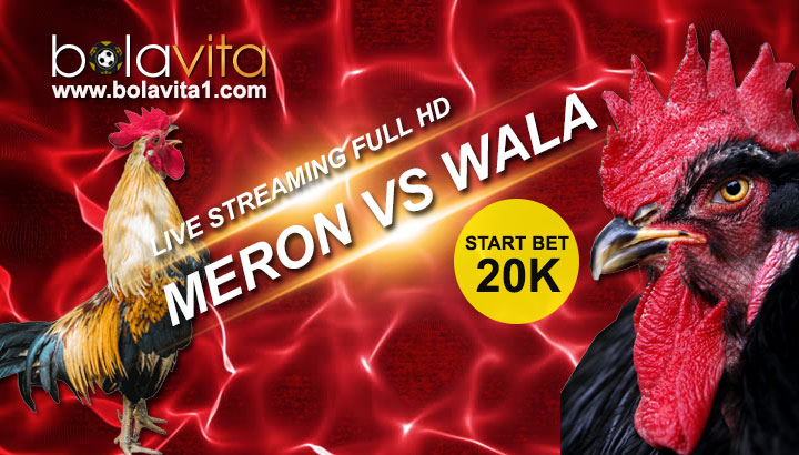 Name:  d1ewSgd.jpg
Views: 72
Size:  94.4 KB