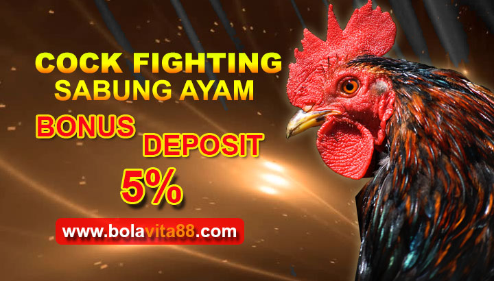 Name:  zHjsBtA.jpg
Views: 33
Size:  92.8 KB