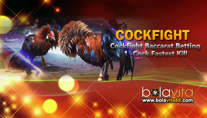 Name:  ZpP86do.jpg
Views: 34
Size:  78.1 KB