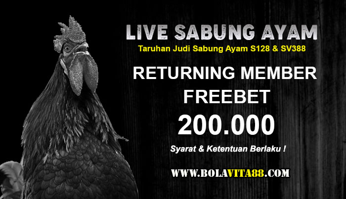 Name:  zbYmJHH.jpg
Views: 37
Size:  59.8 KB