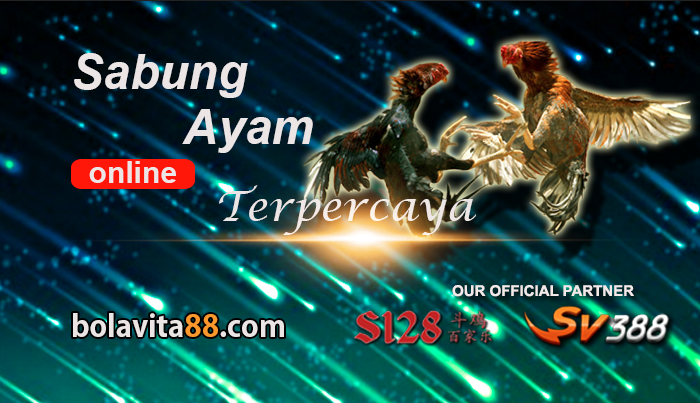 Name:  aWpb4n8.png
Views: 51
Size:  600.0 KB