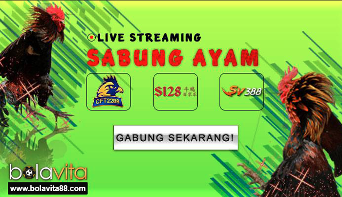 Name:  ViRrKaD.png
Views: 52
Size:  548.7 KB