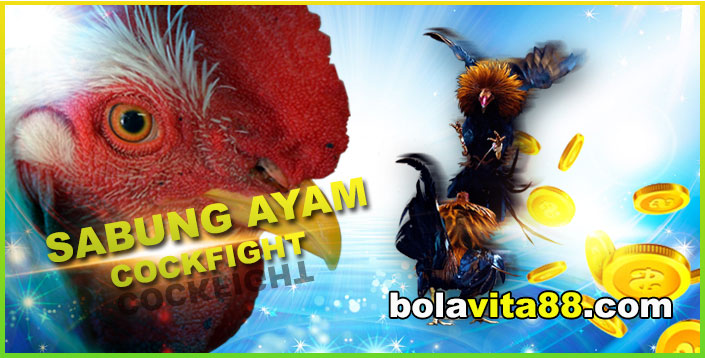 Name: 8smDAVH.jpg
Views: 69
Size: 81.5 KB