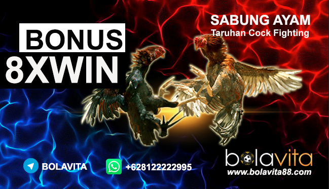 Name: 6jWIzPd.png
Views: 60
Size: 479.6 KB