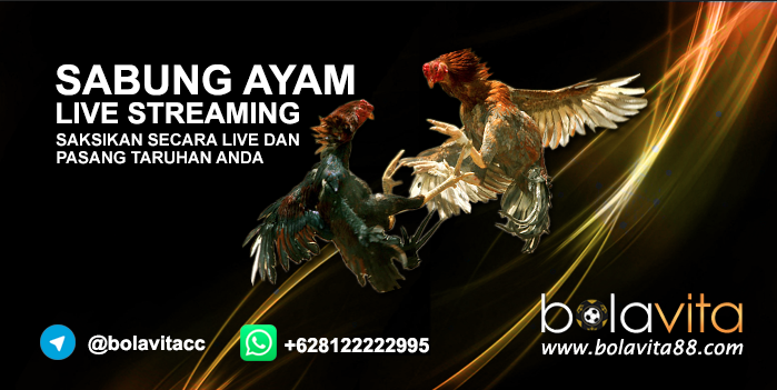 Name: sW0S9Rm.png
Views: 59
Size: 285.1 KB