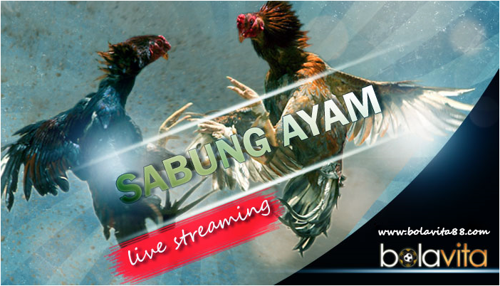 Name: eeGBF6O.png
Views: 60
Size: 671.8 KB