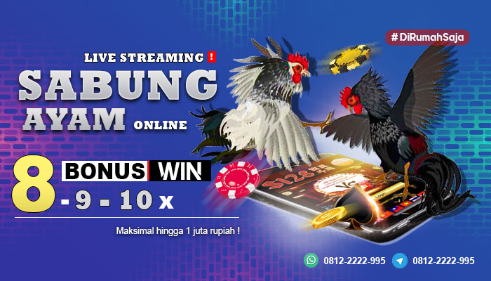 Name:  YeELsxH.jpg
Views: 11
Size:  83.9 KB