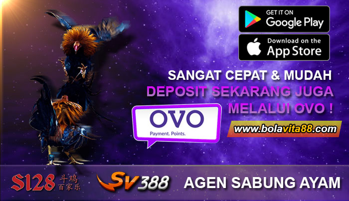 Name:  5580ZfR.jpg
Views: 14
Size:  80.0 KB
