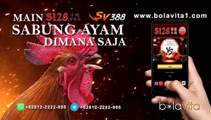 Name:  2SG43go.jpg
Views: 35
Size:  83.4 KB